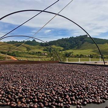 Why Has Coffee Gotten More Expensive?