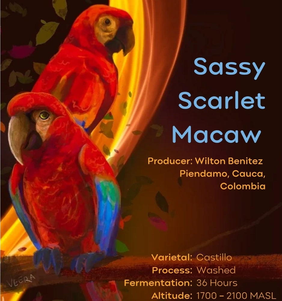 Sassy Scarlet Macaw - Wilton Benitez - Colombia