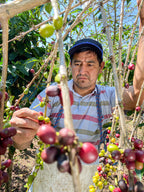 Heavenly Hummingbird – Peru Gesha Natural – Single Origin Coffee Beans