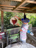 Heavenly Hummingbird – Peru Gesha Natural – Single Origin Coffee Beans