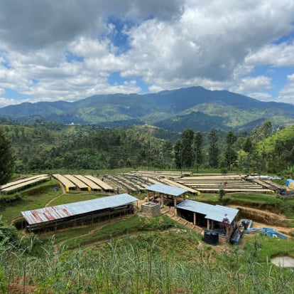 Stunning Sunbird Rwanda Coffee Beans | Anaerobic Natural Single Origin Melbourne