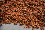 Quirky Quetzal | Costa Rica Honey Process | Single Origin Coffee Beans