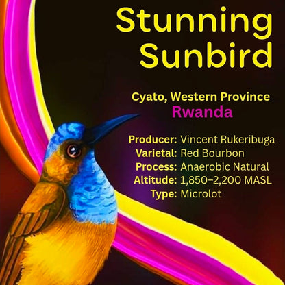 Stunning Sunbird Rwanda Coffee Beans | Anaerobic Natural Single Origin Melbourne