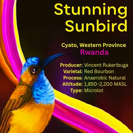 Stunning Sunbird Rwanda Coffee Beans | Anaerobic Natural Single Origin Melbourne
