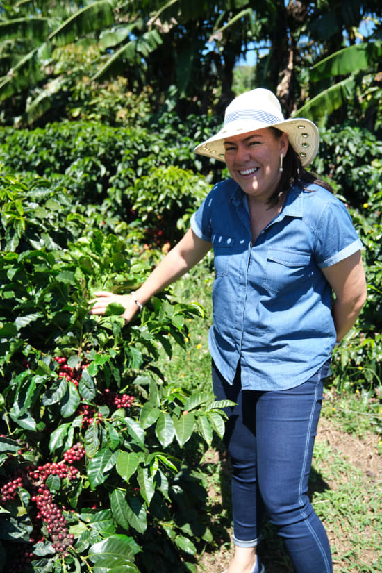 Quirky Quetzal | Costa Rica Honey Process | Single Origin Coffee Beans