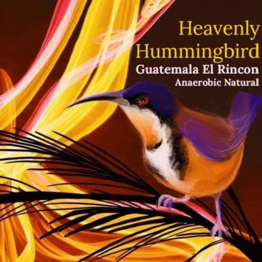 Heavenly Hummingbird Anaerobic Natural single origin cherrymouth roasters