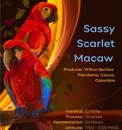 Sassy Scarlet Macaw - Wilton Benitez - Colombia
