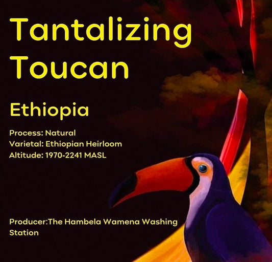 Tantalizing Toucan Single Origin Coffee Beans